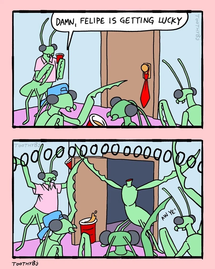 아다 뗀 친구를 축하해주는.jpg_1.webp