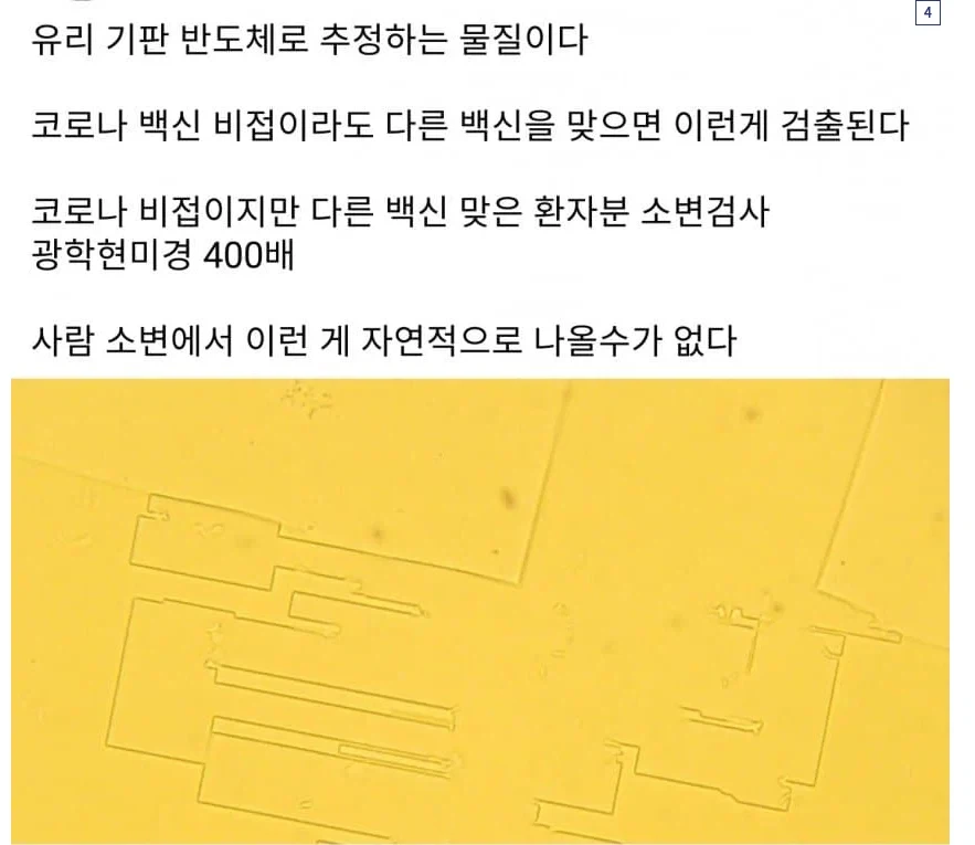 소변검사에서 드러난 백신의 위험성.jpg_1.webp