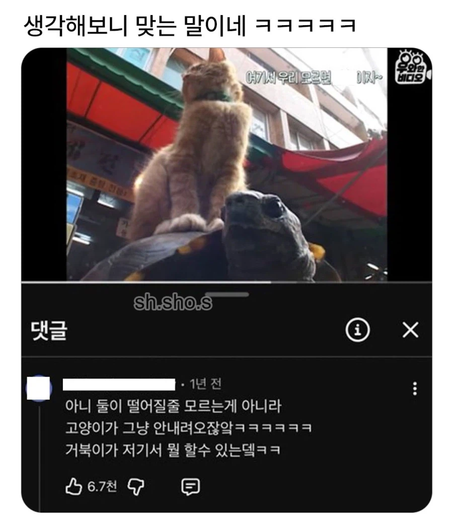 니가 뭘 할 수 있는데.jpg_1.webp