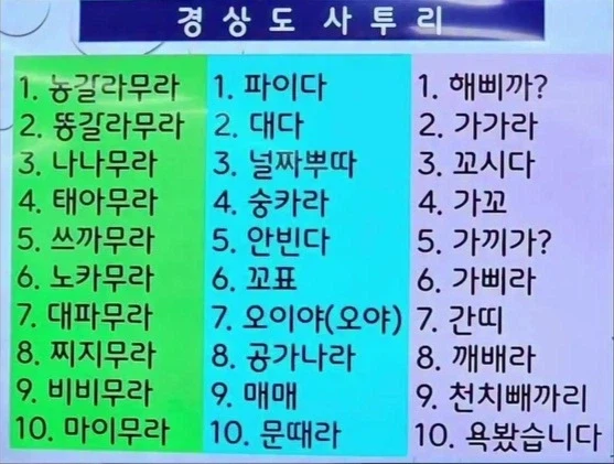 제대로 파고 들면 존나게 어렵다는 경상도 사투리.jpg_1.webp