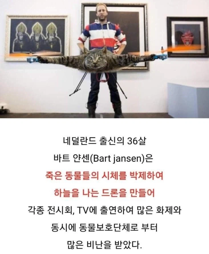 약혐) 고양이 드론_1.webp