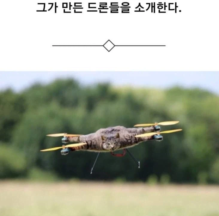 약혐) 고양이 드론_2.webp
