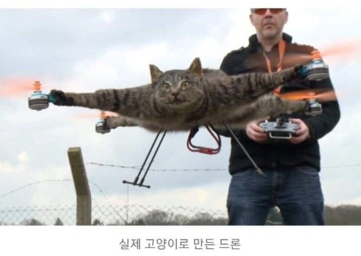 약혐) 고양이 드론_4.webp