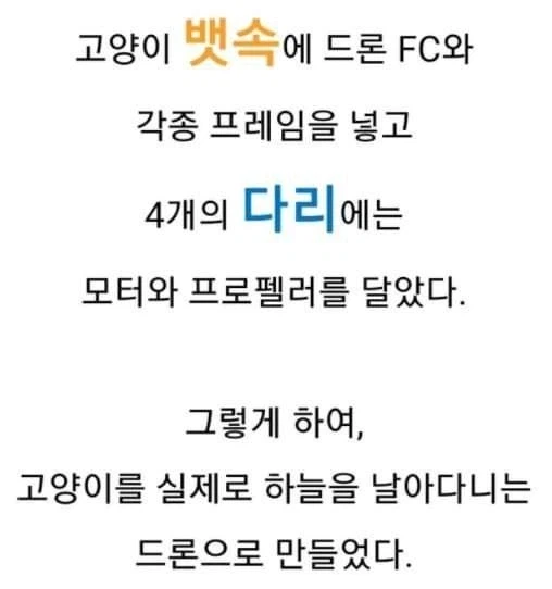 약혐) 고양이 드론_5.webp