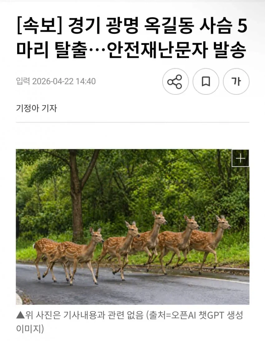 늑구 전성기 끝남.jpg_1.webp
