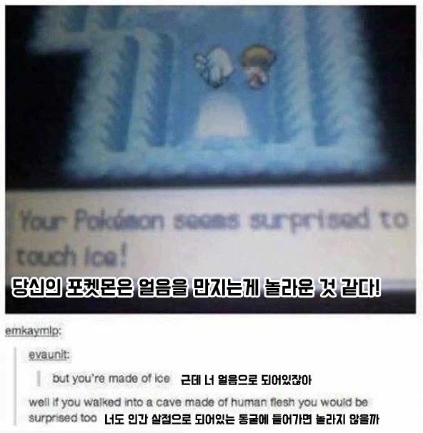 얼음 동굴이 신기한 포켓몬.jpg_1.webp