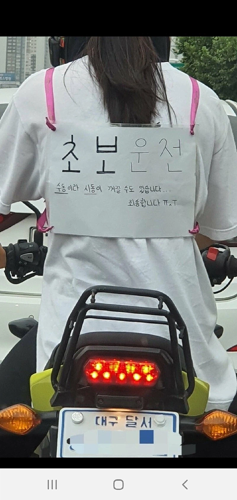 초보 운전_1.webp