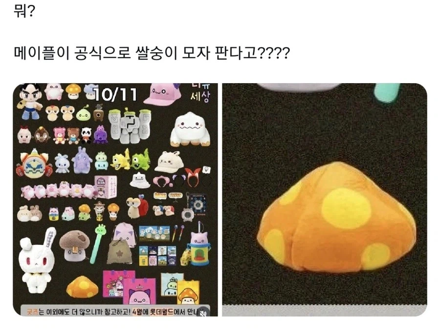 우리가 지금 롯데월드를 가야하는 이유_1.webp