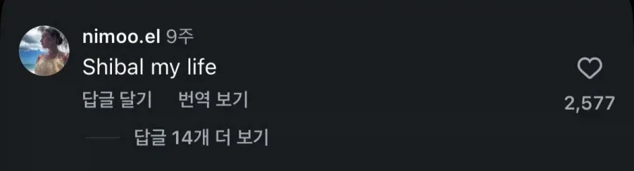 한국이 진짜 사랑의 도시라는 외국 인스타_2.webp