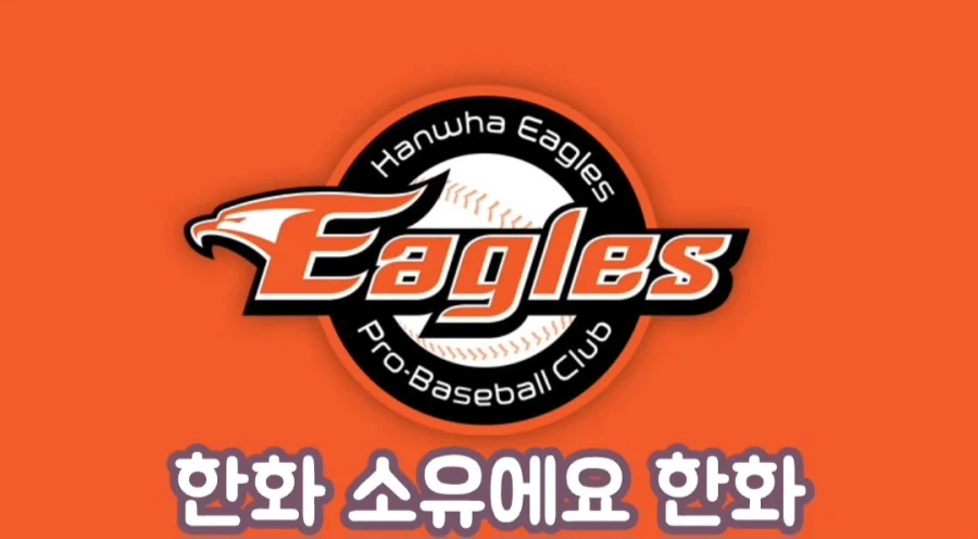 한화에 세금낸다는 여성 방송인_6.webp