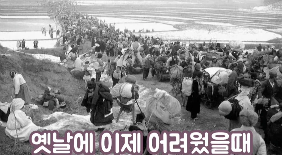 한화에 세금낸다는 여성 방송인_7.webp