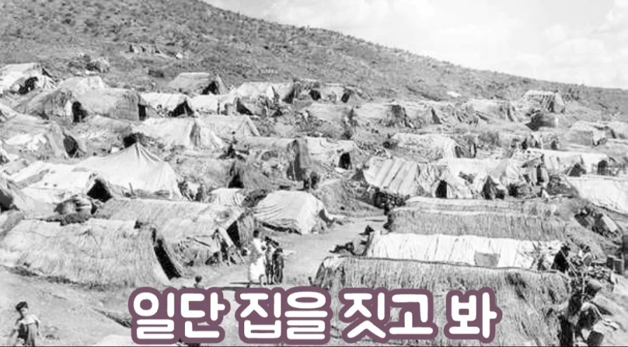 한화에 세금낸다는 여성 방송인_8.webp