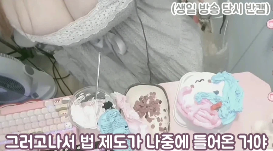 한화에 세금낸다는 여성 방송인_9.webp