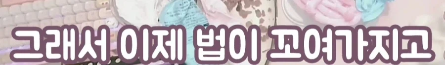 한화에 세금낸다는 여성 방송인_10.webp