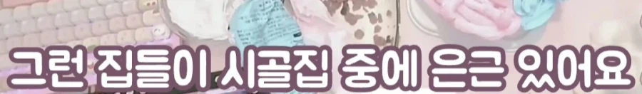 한화에 세금낸다는 여성 방송인_12.webp