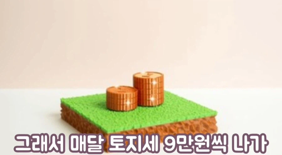 한화에 세금낸다는 여성 방송인_13.webp