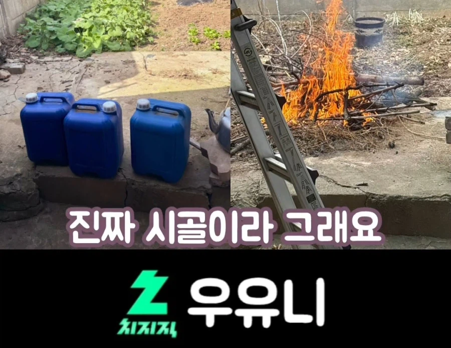 한화에 세금낸다는 여성 방송인_16.webp