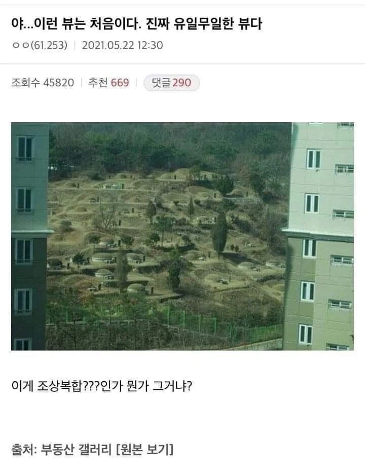 이런 뷰는 처음이다: 유일무이한 조상복합 뷰.jpg_1.webp
