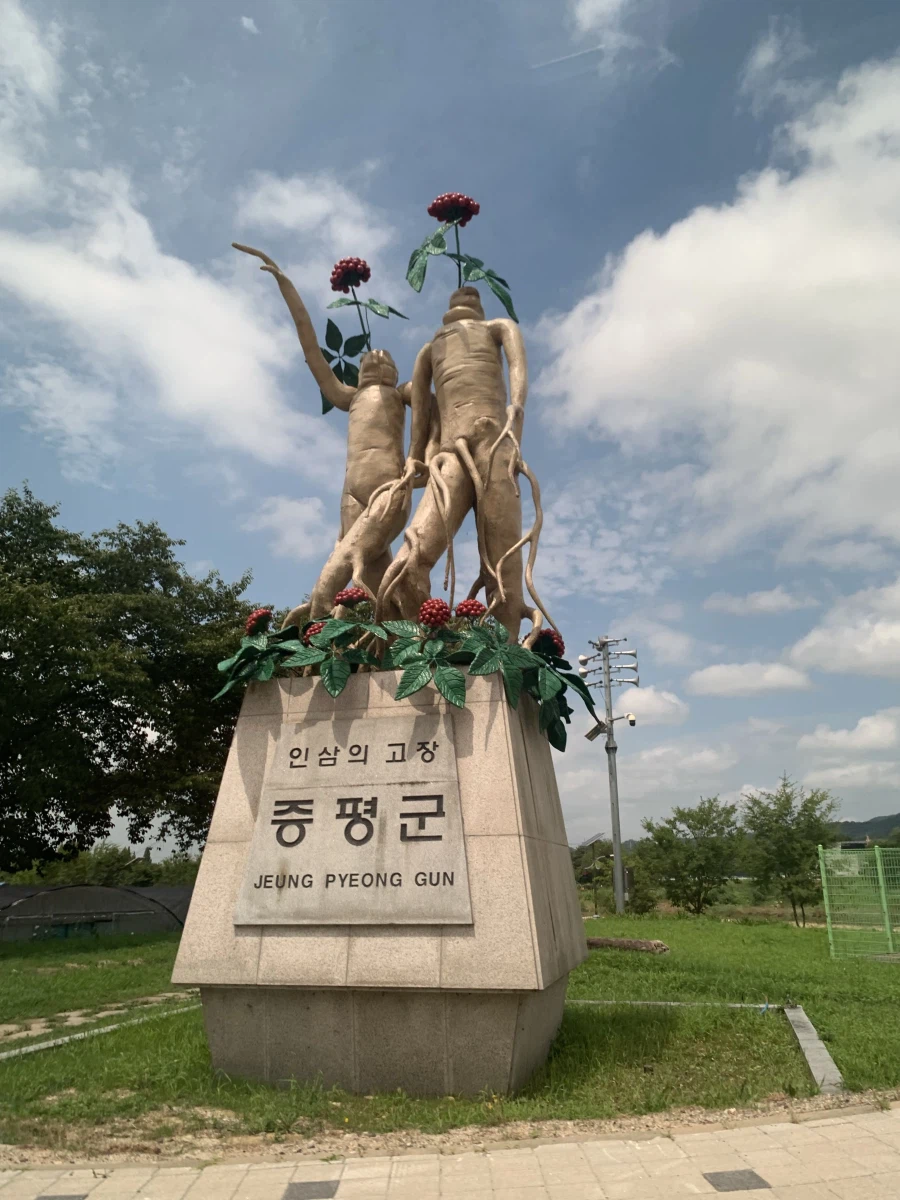 흔한 하꼬 시골의 동상.jpg_1.webp