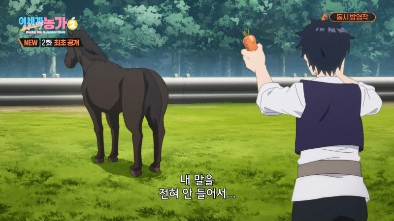 주인을 등 위에 태우지 않는 말을 처리하는 방법_2.webp