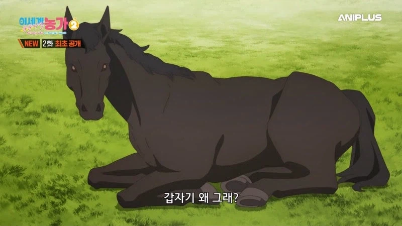주인을 등 위에 태우지 않는 말을 처리하는 방법_17.webp