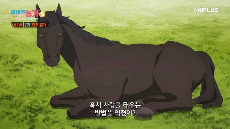 주인을 등 위에 태우지 않는 말을 처리하는 방법_18.webp