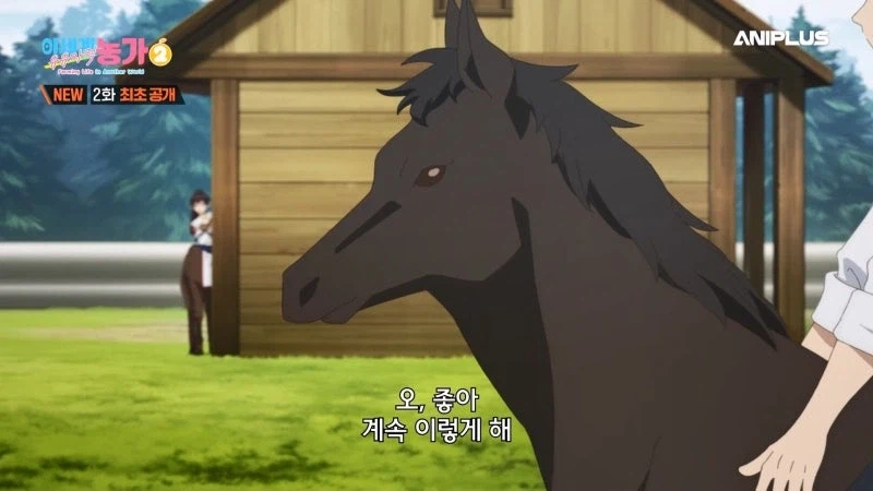 주인을 등 위에 태우지 않는 말을 처리하는 방법_19.webp