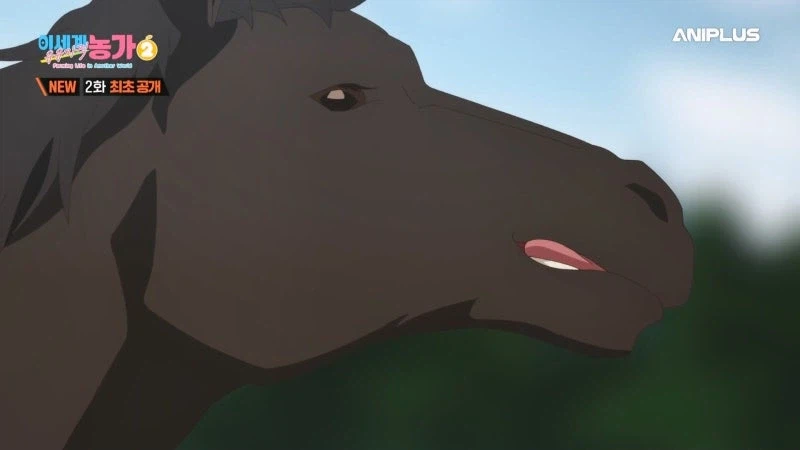 주인을 등 위에 태우지 않는 말을 처리하는 방법_22.webp