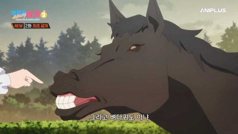 주인을 등 위에 태우지 않는 말을 처리하는 방법_31.webp
