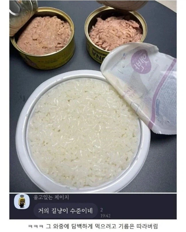 사람이 된 길냥이_1.webp