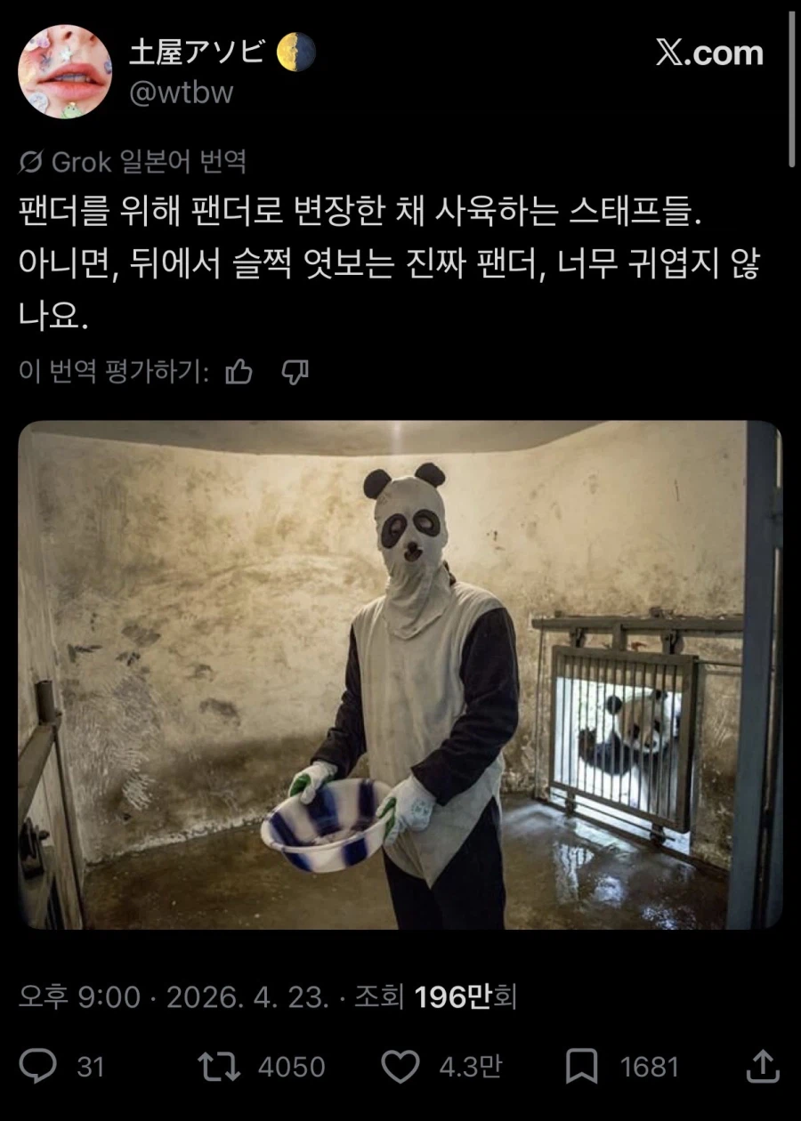 사육사가 의심스러운 판다_1.webp