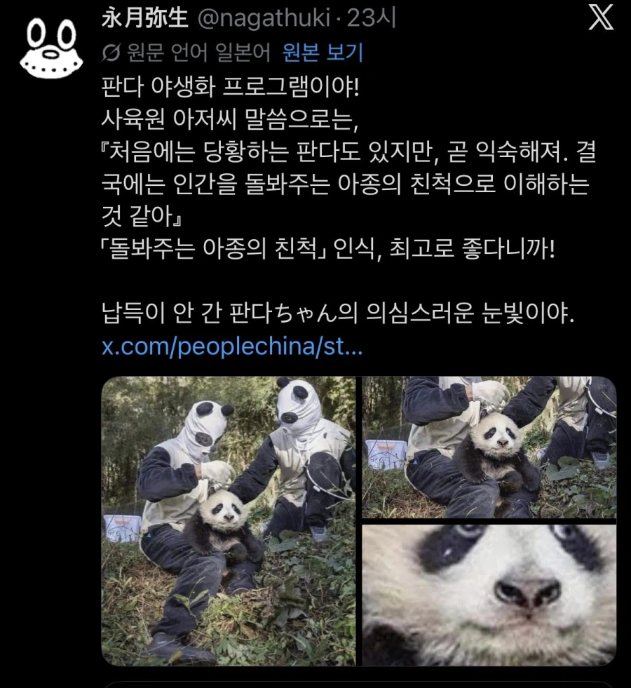사육사가 의심스러운 판다_2.webp