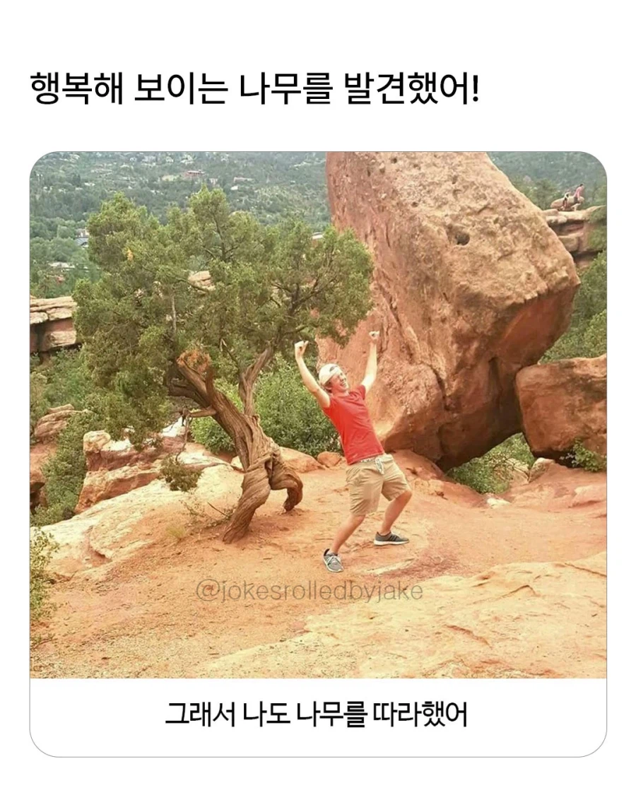행복해 보이는 나무를 발견한 남자.jpg_1.webp
