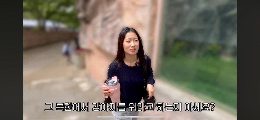북한에서 강아지 부르는법 탈북민 피셜_1.webp