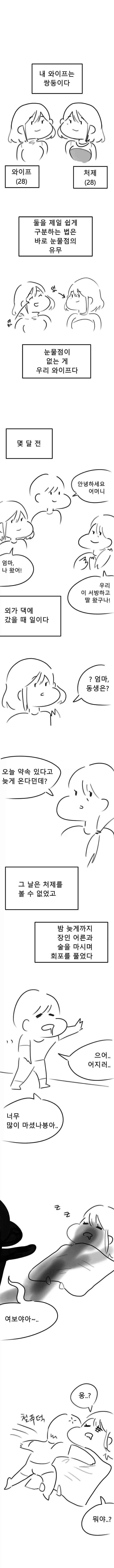 아내의 쌍둥이 여동생 Manhwa._1.webp