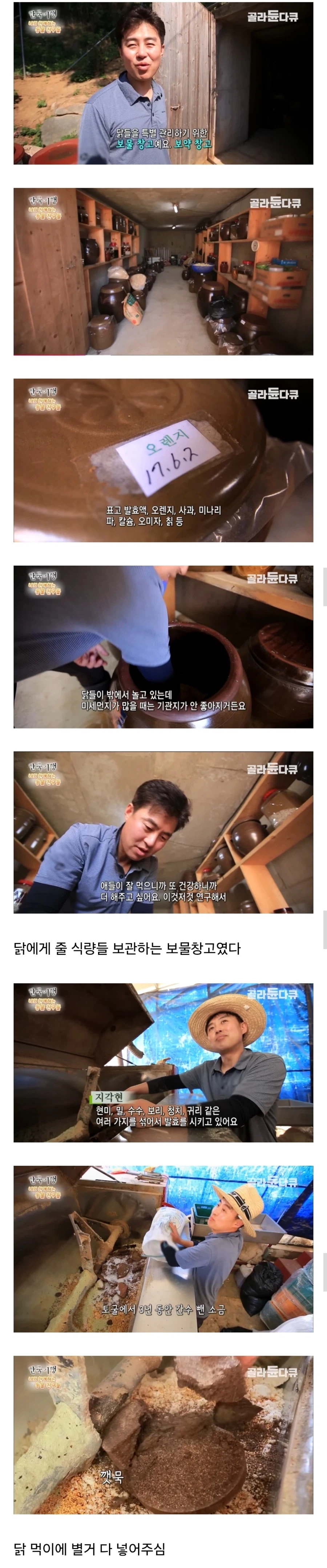 토종닭 백숙집 차리려고 닭 키우다가 그만 정들어버린 부부_3.webp