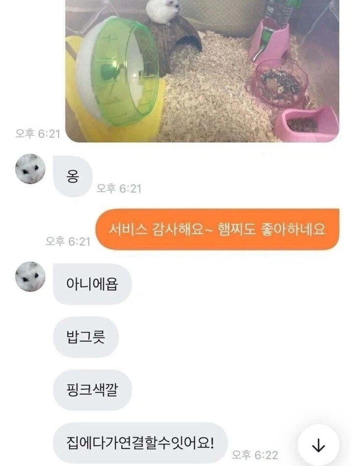 초등학생과 햄스터 용품 당근 거래한 후기.jpg_4.webp