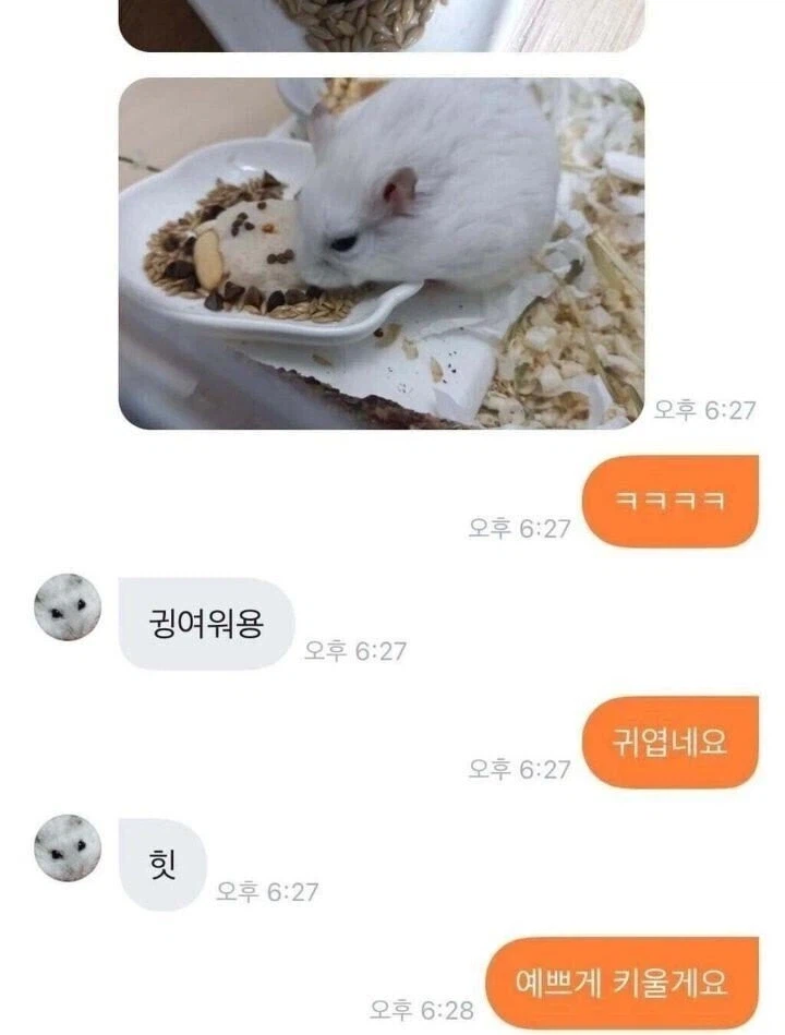 초등학생과 햄스터 용품 당근 거래한 후기.jpg_9.webp