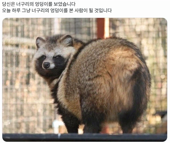 호불호 뒤태_1.webp