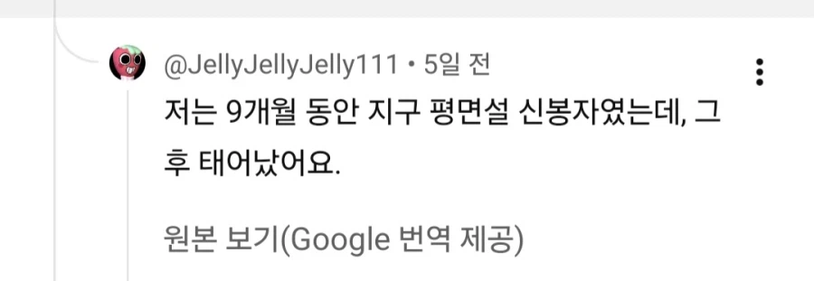 지구평평론자였던 시절을 반성하는 사람_2.webp