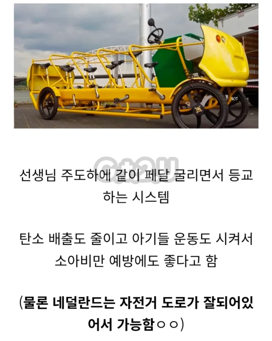 선생님과 함께 등교하는 나라_1.webp