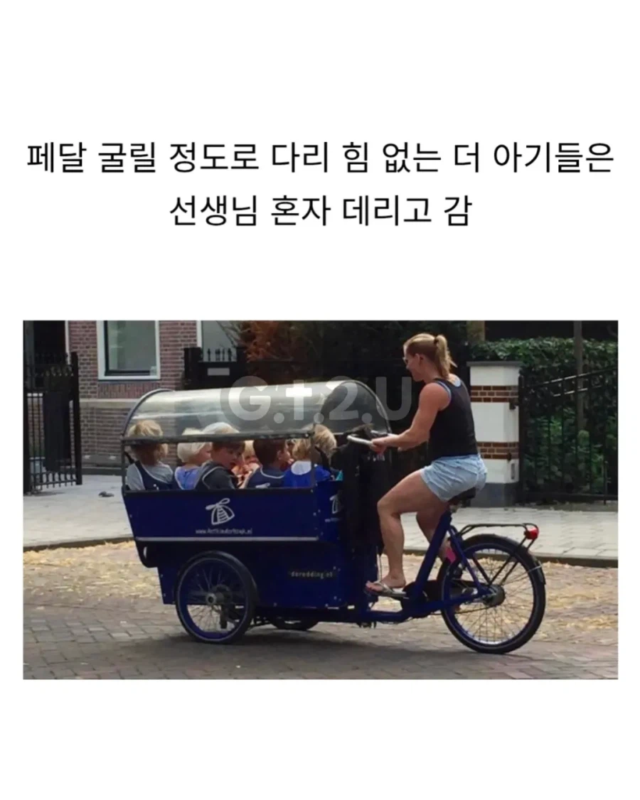 선생님과 함께 등교하는 나라_3.webp