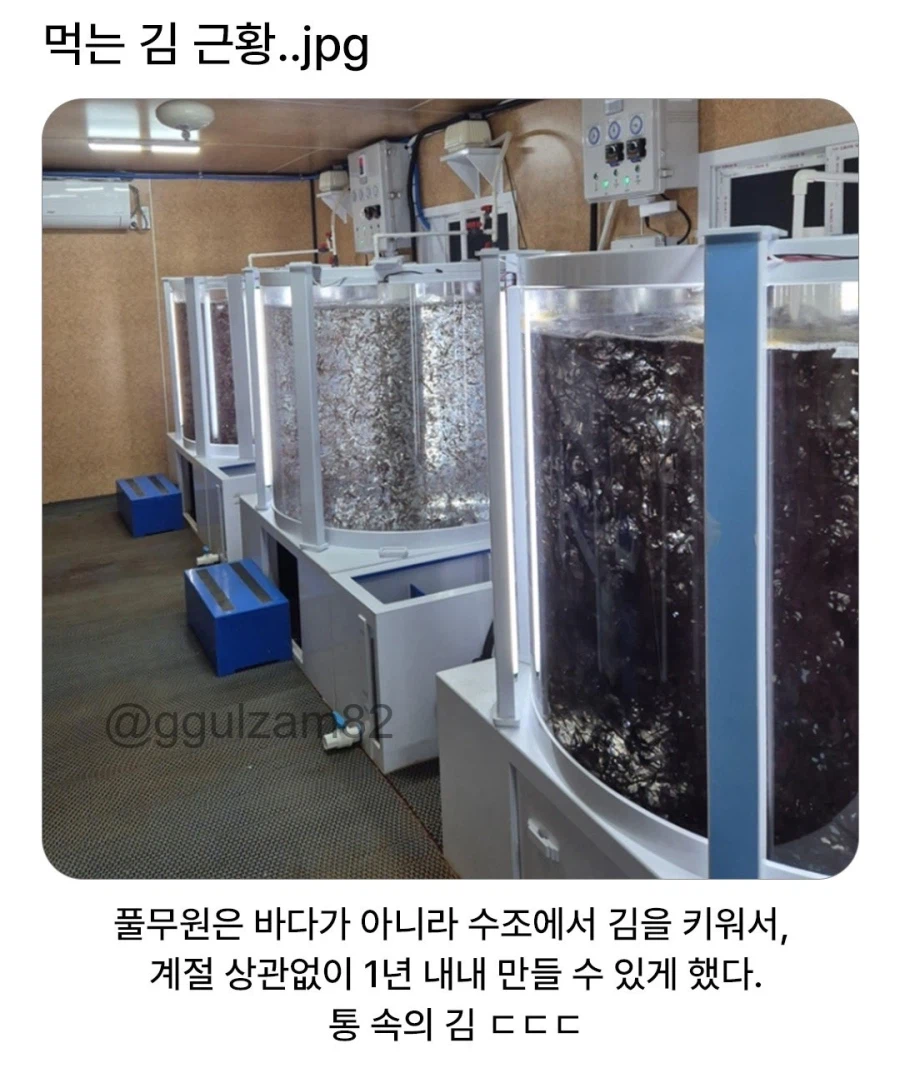 풀무원, 반도체 사업에 신기술로 뛰어들어..._1.webp