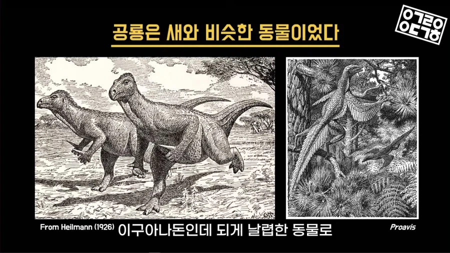 공룡) 공룡은 둔하고 멍청한 동물이라 생각한 과거_2.webp