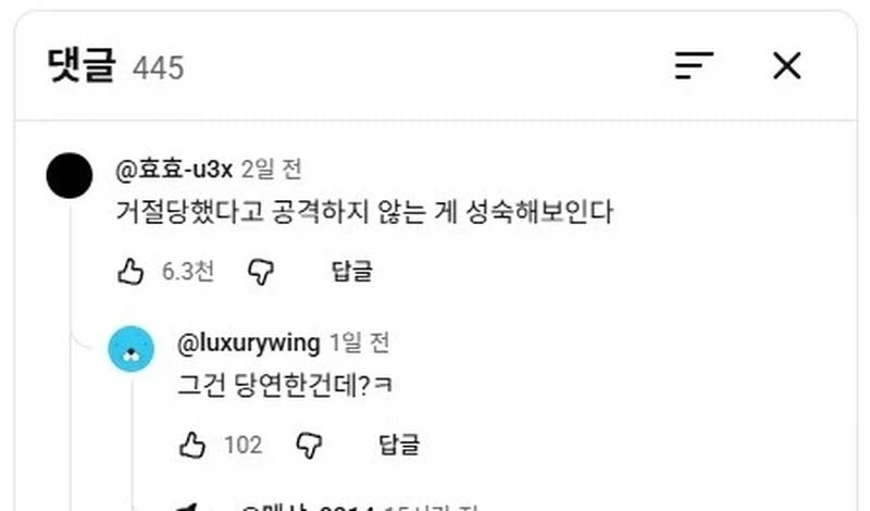 유튜브 댓글은 확실히 맛이 가있어..._2.webp