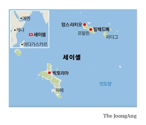 세계에서 가장 큰 씨앗_4.webp