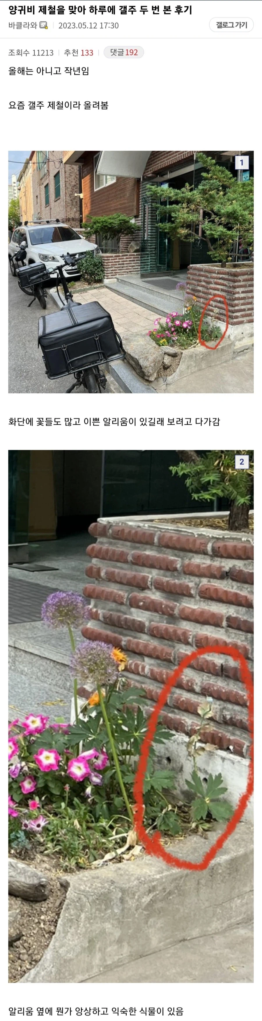 식물갤 갤주 영접 후기.jpg_1.webp