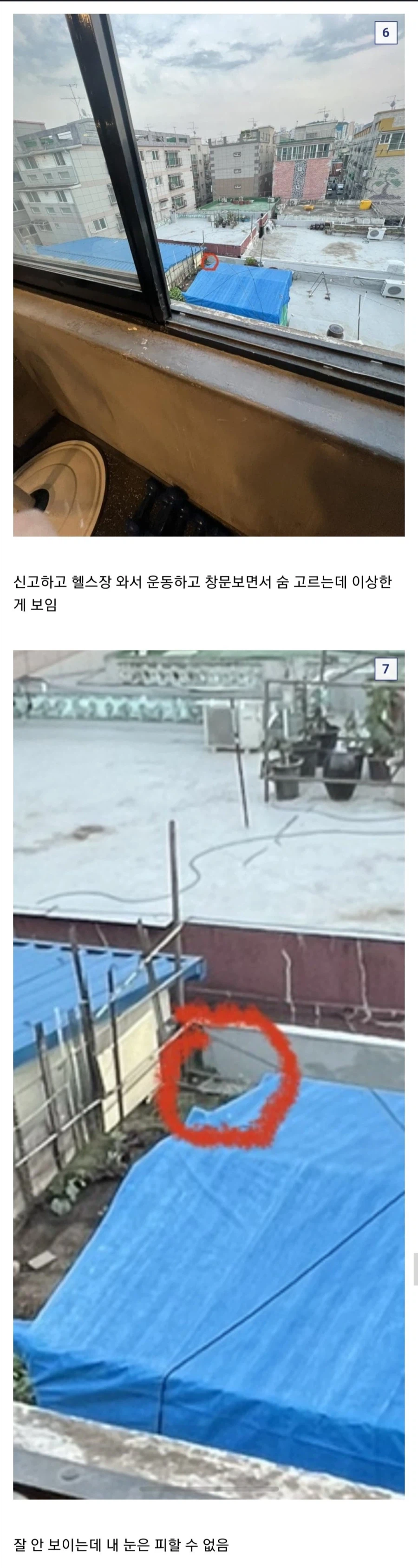 식물갤 갤주 영접 후기.jpg_3.webp