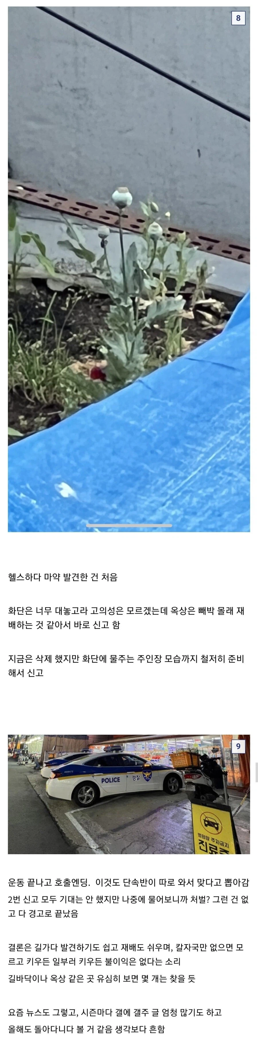 식물갤 갤주 영접 후기.jpg_4.webp