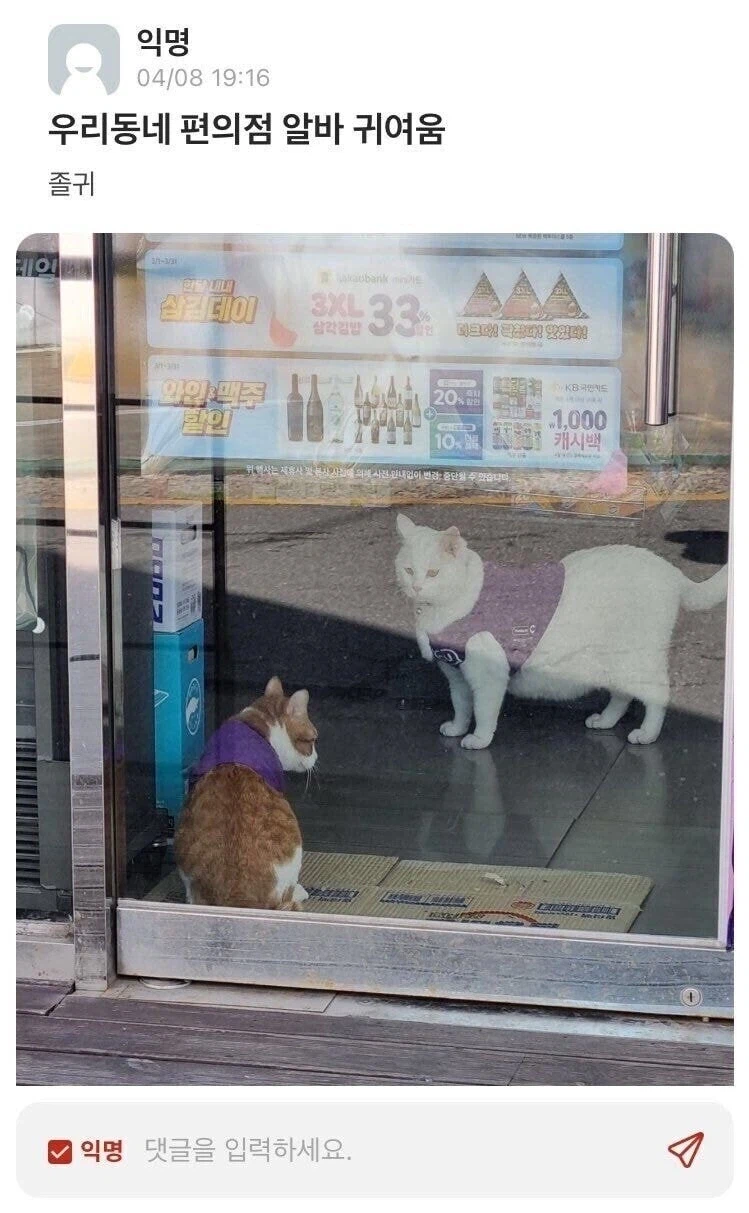 무급으로 일하는 편의점 알바.jpg_1.webp